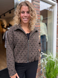 JAS/BOMBER POLKA DOT BRUIN