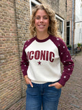 TRUIEN BRUIN OF BORDEAUX ONE SIZE