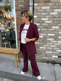 BROEK/PANTALON BASIS BORDEAUX