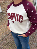 TRUIEN BRUIN OF BORDEAUX ONE SIZE
