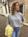 TRUI/SWEATER AZZURRO DIV KLEUREN